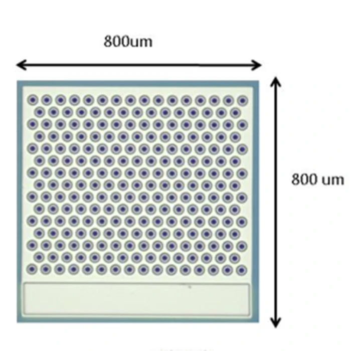 1w-940nm-vcsel-laser-chip201909111351367061917 1w-940nm-vcsel-laser-chip201909111351367061917